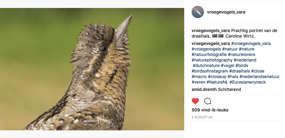 Vroege Vogels Vara | Instagram